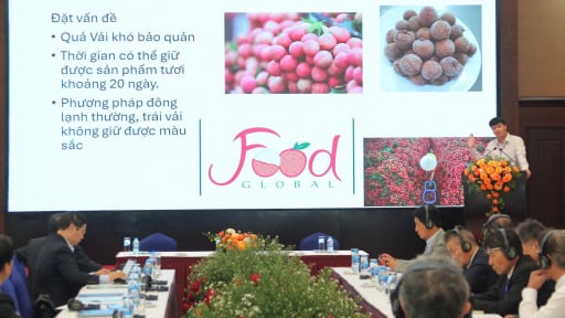 Fostering trade connectivity and agricultural technology