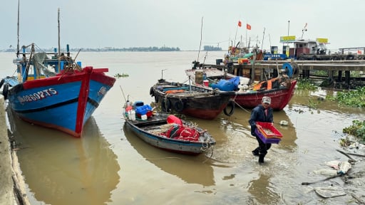 Phát triển đội tàu công suất lớn để gia tăng hiệu quả khai thác hải sản