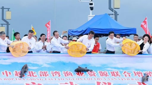 Khơi thông thị trường, tái tạo nguồn lợi thủy sản Việt Nam - Trung Quốc