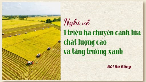 Nghĩ về 1 triệu ha chuyên canh lúa chất lượng cao và tăng trưởng xanh