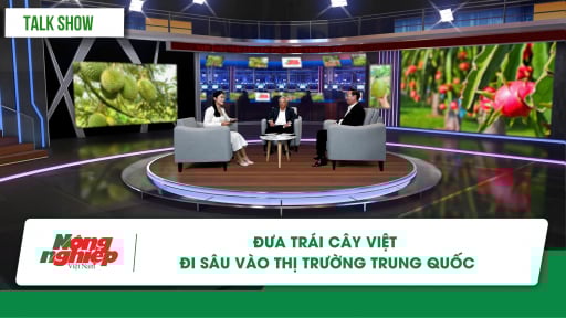 Đưa trái cây Việt đi sâu vào thị trường Trung Quốc
