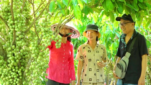 Check-in Sa Đéc dịp lễ: Đắm chìm trong thiên đường hoa và trải nghiệm dân dã