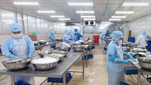 Thách thức xuất khẩu thủy sản: [Bài 1] Sóng lớn