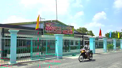Kiến nghị xử lý vi phạm trong thu hồi, giao đất nông trường ở Cần Thơ