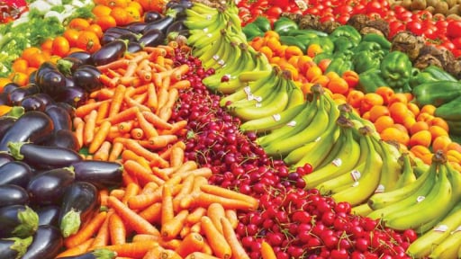 Vietnam - Germany: Opening new doors for agricultural exports