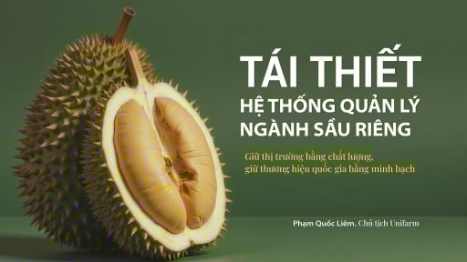 Giữ thị trường bằng chất lượng, giữ thương hiệu quốc gia bằng minh bạch