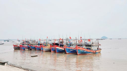 Thanh Hóa công bố 25 thủ tục hành chính trong lĩnh vực thủy sản