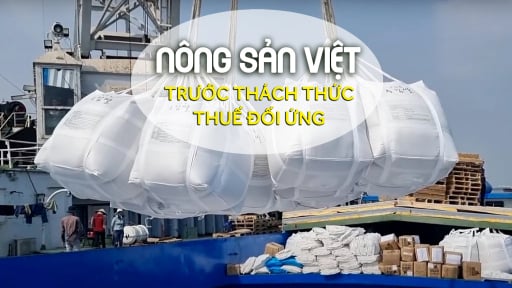 Xuất khẩu gạo tận dụng khoảng trống ở thị trường Hoa Kỳ