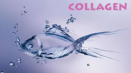 Collagen thủy sản: Biến phụ phẩm thành triệu đô