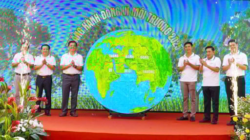 Kinh tế xanh từ những cánh đồng lúa sinh thái Tràm Chim