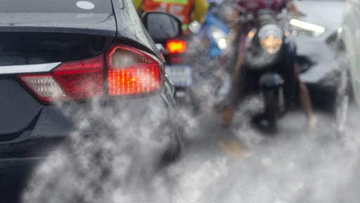 Bài 2: Khi hít thở cũng là một đặc quyền