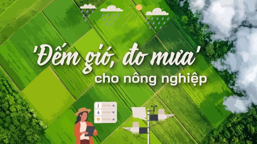 'Đếm gió, đo mưa' cho nông nghiệp: Đưa dự báo tới người dân