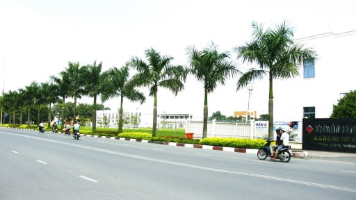 TP HCM xử lý nghiêm, triệt để tổ chức, cá nhân vi phạm môi trường
