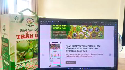 Hậu Giang đẩy mạnh chuyển đổi số trong xây dựng nông thôn mới