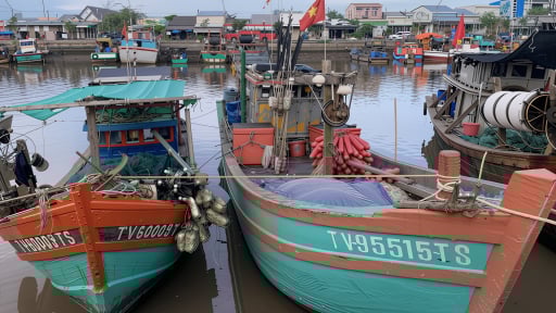 Mở cảng cá Láng Chim từ 1/7
