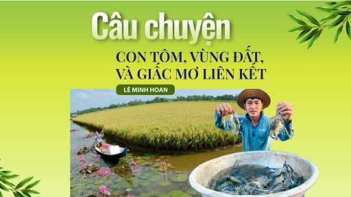 Câu chuyện con tôm, vùng đất, và giấc mơ liên kết
