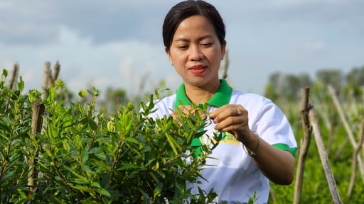 An Giang - ‘kho báu’ dược liệu của Tây Nam Bộ