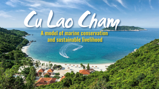 Cu Lao Cham: A model of marine conservation and sustainable livelihood