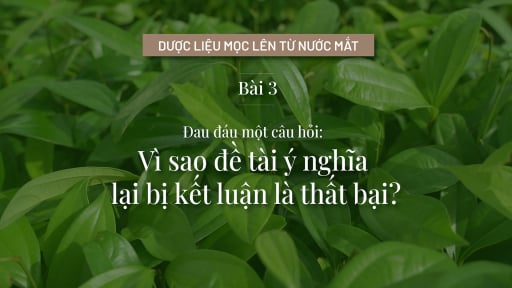 Vì sao đề tài ý nghĩa lại bị kết luận là thất bại?