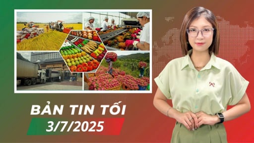 Chi bộ Vụ Tổ chức cán bộ - Nòng cốt đổi mới, tiên phong kiến tạo