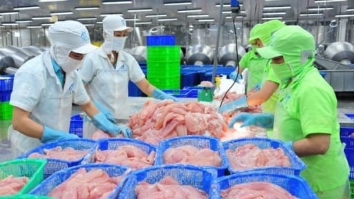 Trung Quốc trở thành nhà nhập khẩu thủy sản lớn nhất của Việt Nam
