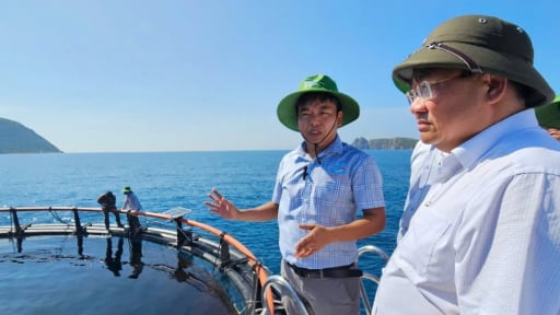 Khánh Hòa tiên phong nuôi biển vùng 6 hải lý