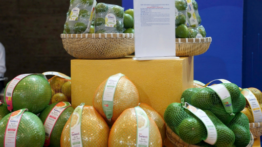 Many markets seeking to import Vietnamese fruits