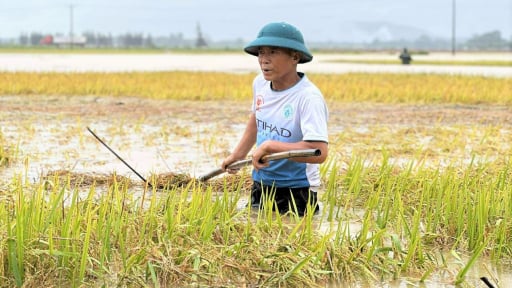 Hình ảnh lũ hiếm gặp cuối tháng 5 tại Hà Tĩnh