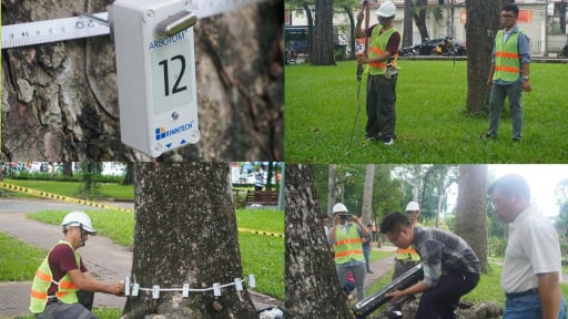 Giải mã ‘sức khỏe’ cây xanh bằng công nghệ hiện đại