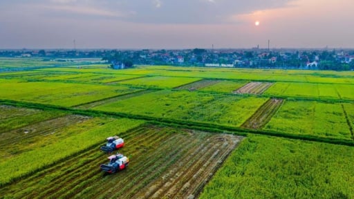 Hải Phòng đề xuất mỗi năm hỗ trợ 375 tỷ đồng cho phát triển nông nghiệp