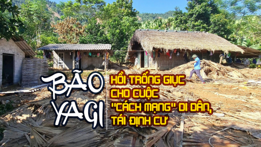 Bão Yagi - Hồi trống giục cho cuộc 'cách mạng' di dân, tái định cư