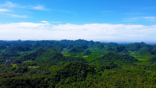 Cúc Phương tiên phong khai thác giá trị Vườn quốc gia