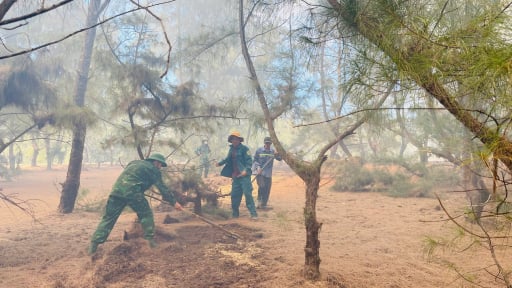 Bình Định kịp thời dập tắt vụ cháy rừng phòng hộ