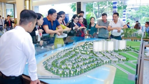 Bất động sản Hạ Long: Nhu cầu ở thật vẫn ‘chiếm sóng’