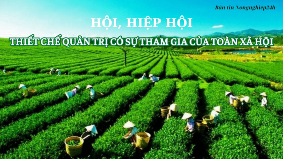 Hội, Hiệp hội – thiết chế quản trị có sự tham gia của toàn xã hội