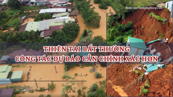 Thiên tai bất thường, công tác dự báo cần chính xác hơn