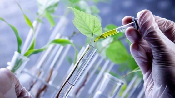 Ngành trồng trọt 'chuyển mình' từ khoa học công nghệ