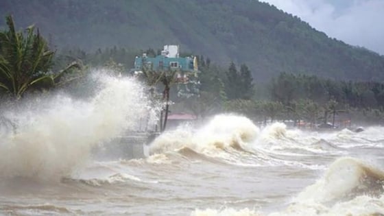 Thời tiết nông vụ ngày 26/6/2025: Mưa lớn cả trên biển và đất liền