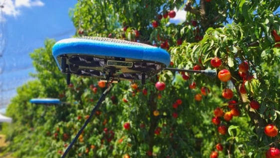 Robot thu hoạch trái cây mềm, bước tiến công nghệ nông nghiệp từ Israel