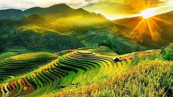 Thời tiết nông vụ ngày 28/7/2025: Bắc Bộ nắng nóng diện rộng, Nam Bộ mưa lớn