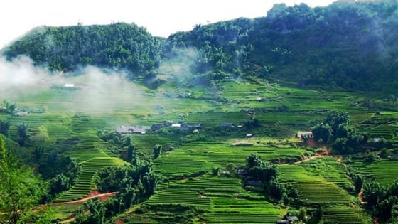 Thời tiết nông vụ ngày 7/8/2025: Miền Bắc mưa rào, miền Nam vẫn nắng nóng