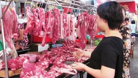 Dấu hiệu nhận biết thịt nhiễm dịch tả lợn Châu Phi