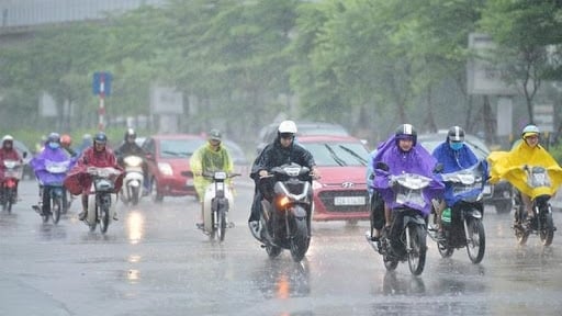 Thời tiết nông vụ ngày 10/7/2026: Mưa dông phủ khắp Bắc Bộ