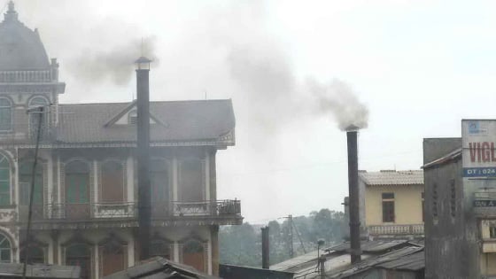 nongnghiepmoitruong.vn