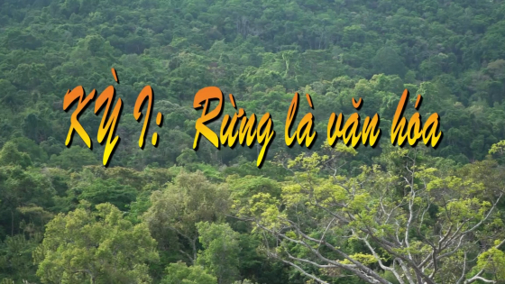 Giữ rừng mãi xanh - Kỳ 1: Rừng là văn hóa