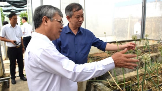 nongnghiepmoitruong.vn