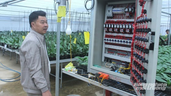 Người theo đuổi nông nghiệp sạch vì… mê phim Hàn Quốc