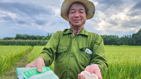 Lão nông 66 tuổi làm gạo sạch từ sữa tươi và trứng gà
