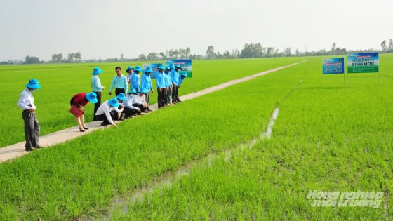 Ba nhóm rào cản lớn của nông nghiệp hữu cơ