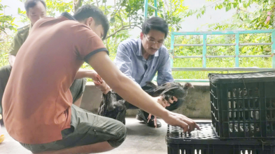 nongnghiepmoitruong.vn
